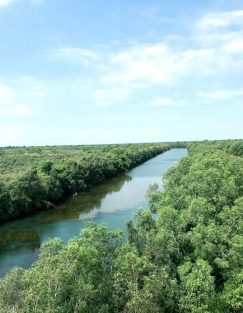 Cooperation in developing Dong Thap Muoi Conservation and Ecotourism Area