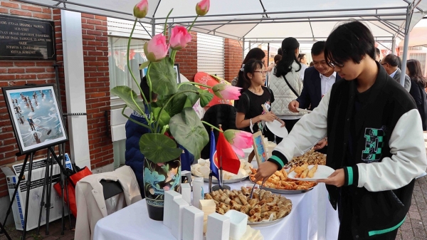 Vietnam participates in activities on ASEAN Family Day in Belgium