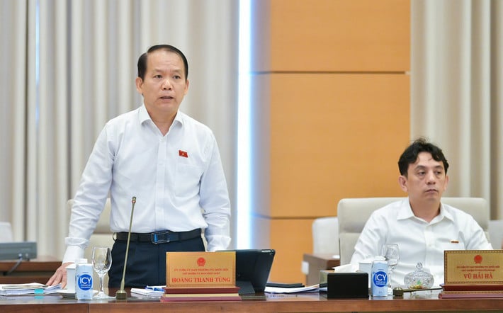 Der Vorsitzende des Rechtsausschusses, Hoang Thanh Tung, präsentierte eine Zusammenfassung des Inspektionsberichts. Foto: Quochoi.vn