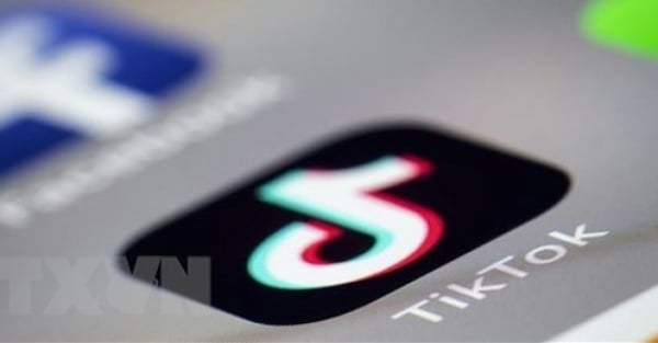 TikTok multada por violar las normas de privacidad infantil