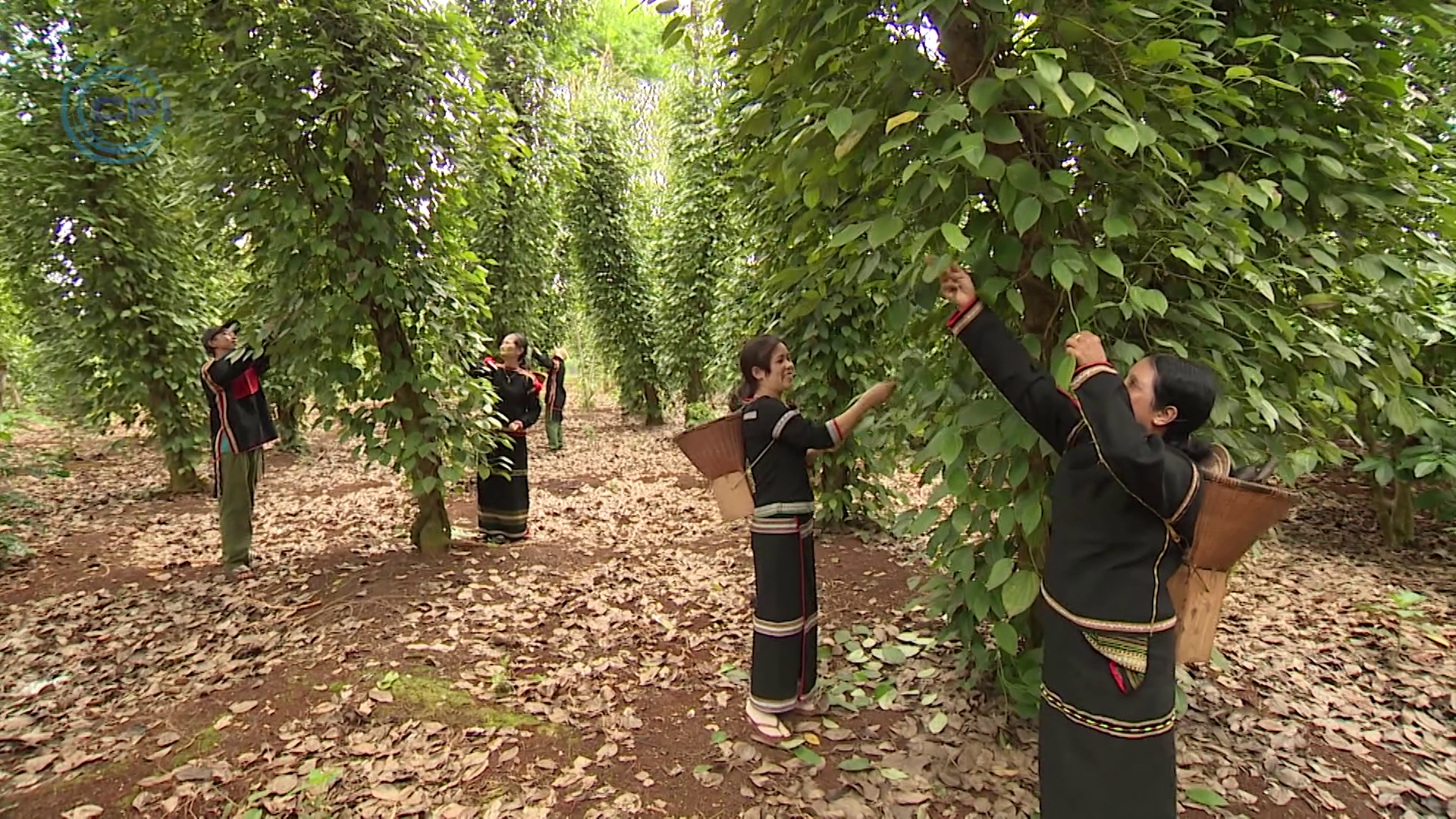 Wichtigste Industrieprodukte des Ede-Volkes in Buon Ma Thuot