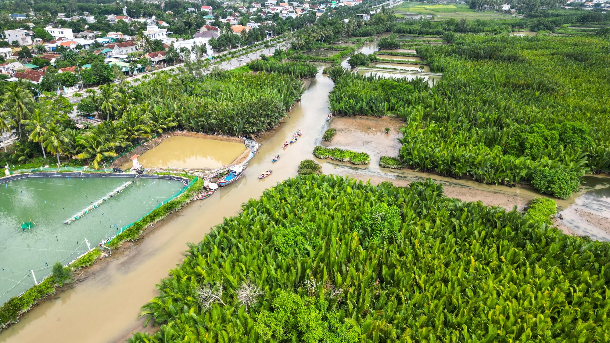 Nông dân Quảng Ngãi làm du lịch cộng đồng tại rừng dừa nước - Ảnh 4.