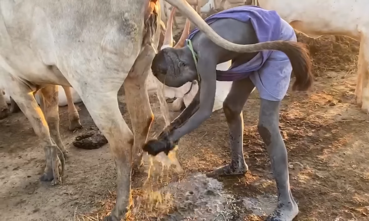 Vietnamese tourists spend 5 days with a tribe bathing and drinking cow urine