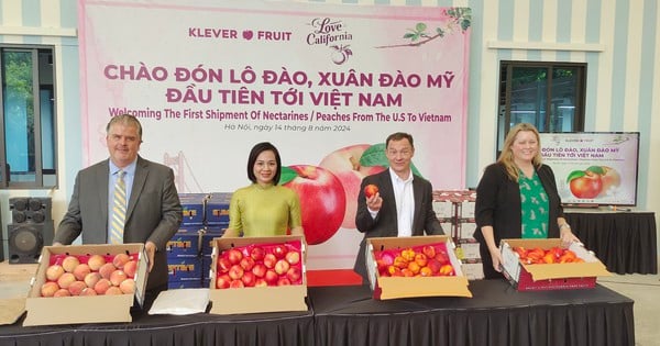 Après 5 ans de négociations, le Vietnam a importé pour la première fois des pêches et des nectarines des États-Unis.