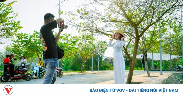 ផ្កា Ban - ផ្កានៃភ្នំនិងព្រៃនៃ Dien Bien និងភាគពាយព្យ