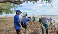 Ben Tre has many models for responding to climate change and protecting the environment.