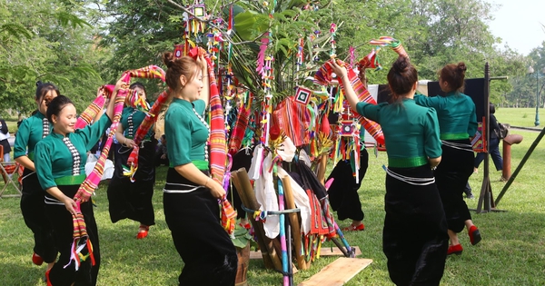 Many special activities in the "Spring Colors Across the Country" Festival 2025