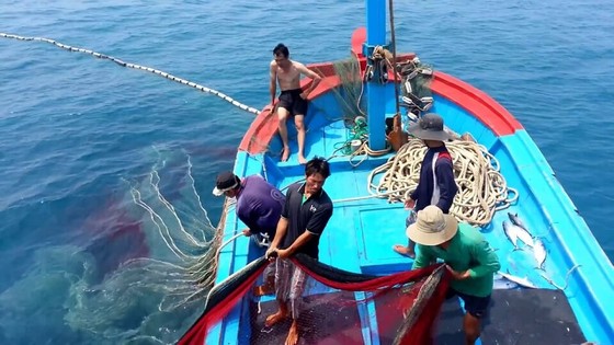 Thủ tướng yêu cầu tập trung thực hiện các nhiệm vụ, giải pháp chống khai thác hải sản bất hợp pháp