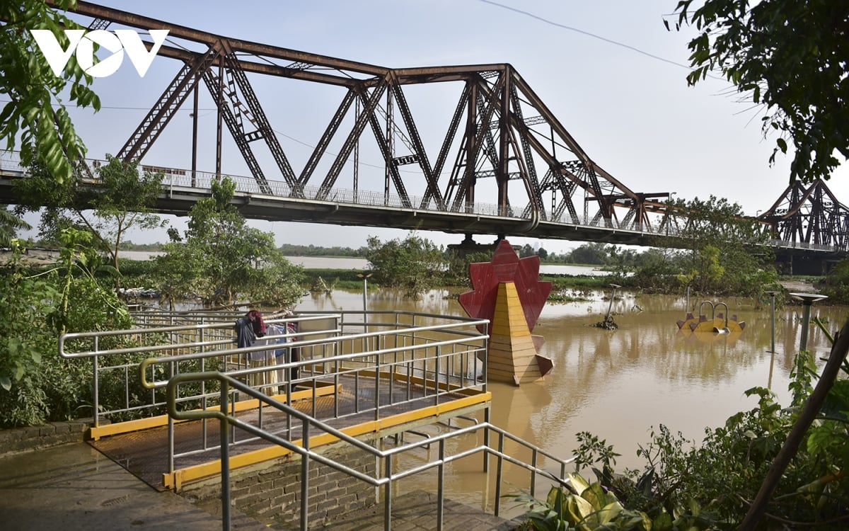 cong vien rung phuc tan o ha noi van chim trong nuoc hinh anh 1