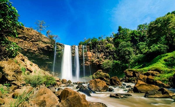 Gia Lai, una tierra imbuida de las Tierras Altas Centrales, majestuosa ante el gran bosque