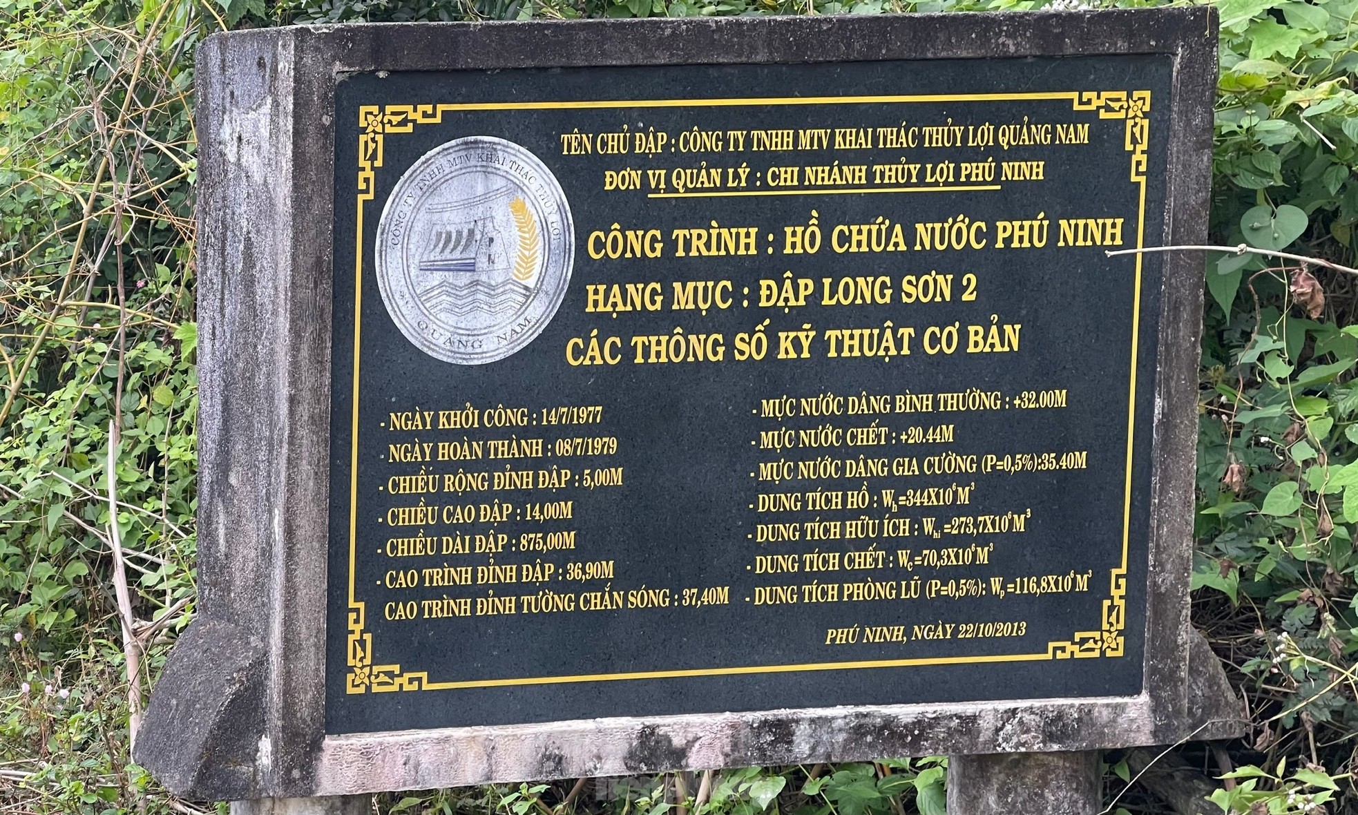 Les jeunes se rassemblent pour prendre des photos à côté de « l'arbre solitaire » à Quang Nam, photo 2