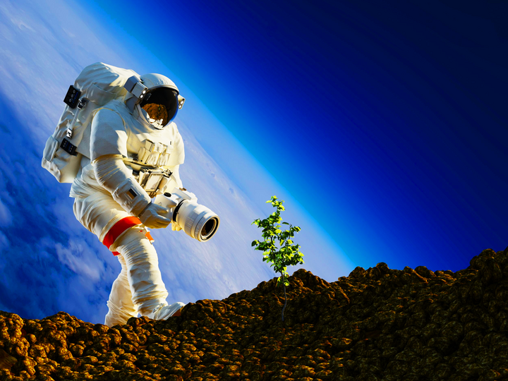 Phi hành gia Chương trình Artemis sẽ mang cây trồng lên Mặt trăng vào năm 2026. (Ảnh: istock)