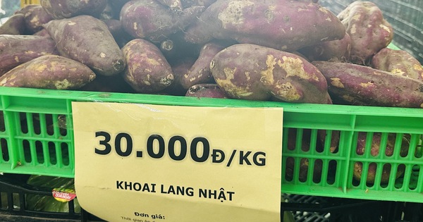 Cũng là khoai lang Nhật, sao nơi bán vài chục nghìn, nơi hơn… nửa triệu đồng/kg?