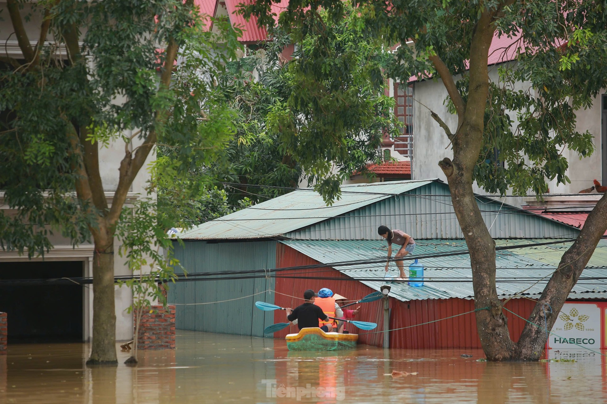 L'eau a inondé le toit, tout le village s'est transformé en « oasis » photo 6