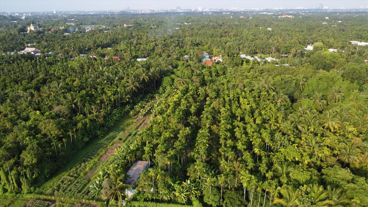 Nơi đây An Sơn, Hưng Định, Bình Nhâm, Lái Thiêu