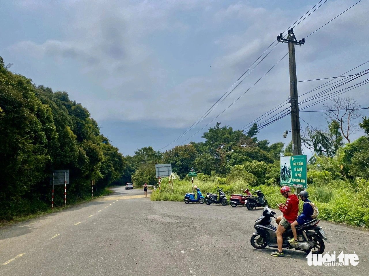 Thiên nhiên trong lành trên Sơn Trà, nơi bạn nhất định phải đến khi ghé thăm Đà Nẵng - Ảnh: TRƯỜNG TRUNG