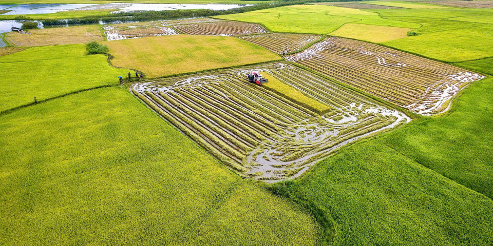 持続可能な貧困削減、未来への黄金の鍵 - 写真1