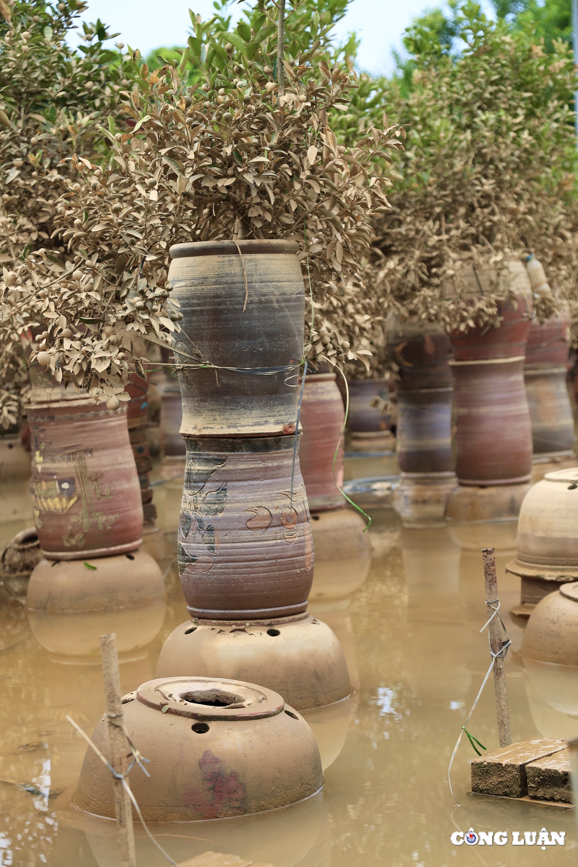 nguoi dan trong quat tu lien tat bat khoi phuc lai nhung thiet hai sau bao lu hinh 6