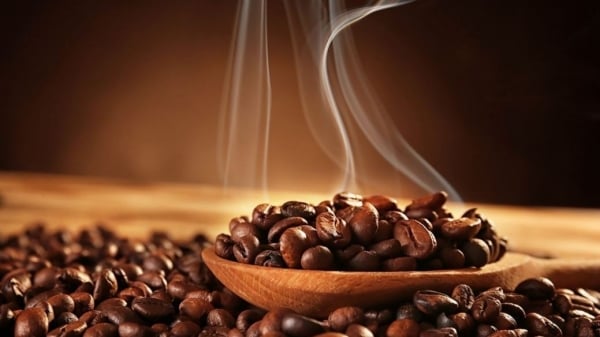 Les prix du café perdent de leur élan, les exportations vont ralentir pour cette raison