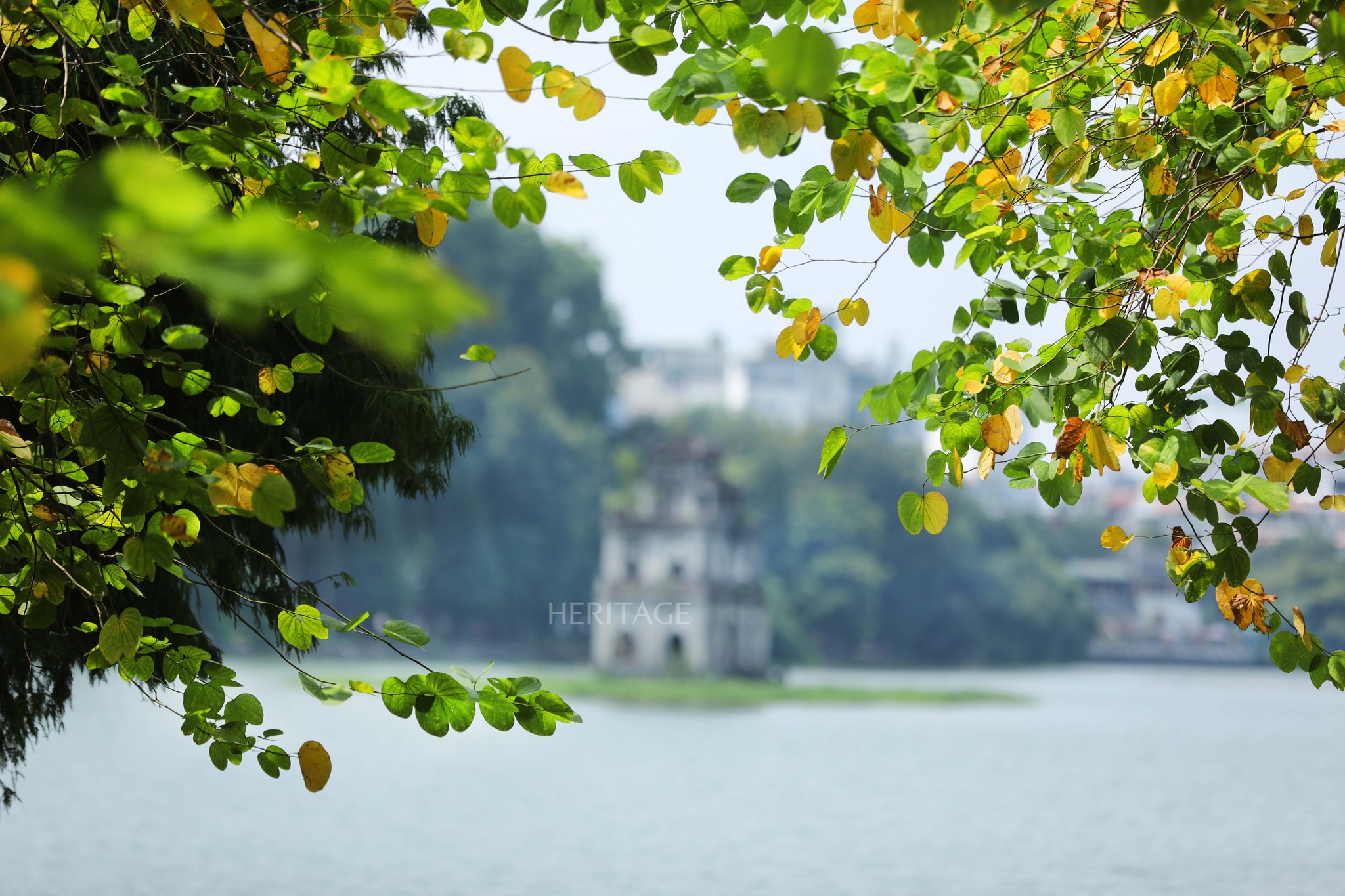 Organizando el Festival de Otoño de Hanoi en septiembre