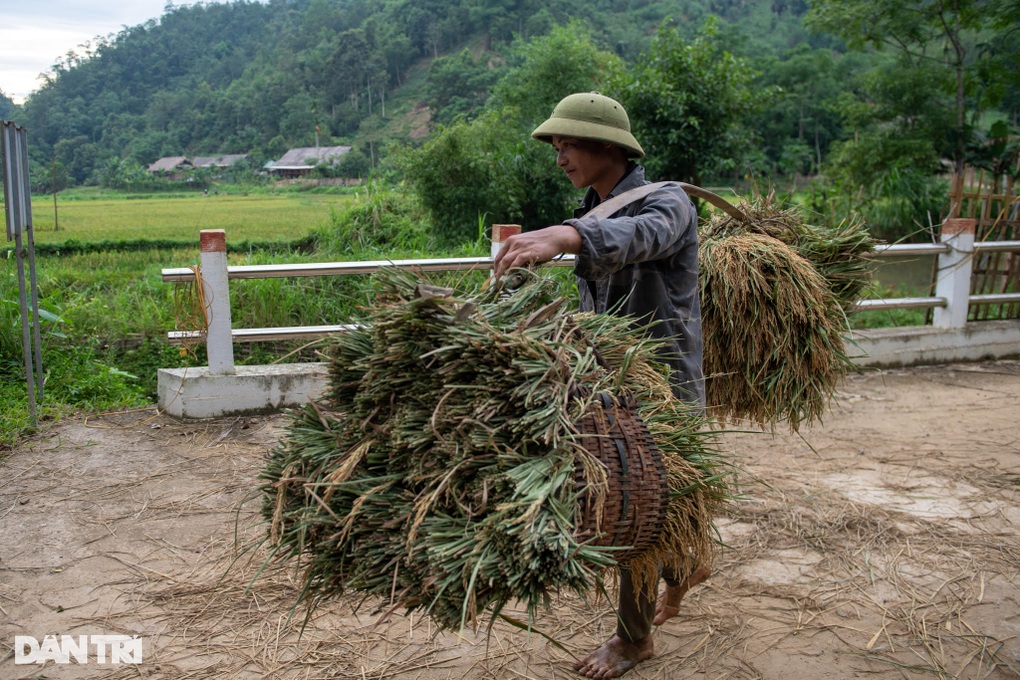 Những chiếc xe chở lúa băng băng qua cây cầu Dân trí ở nơi thôn nghèo - 5