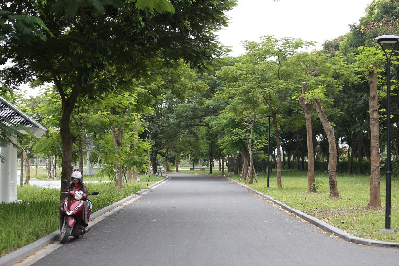 Shade trees planted in Long Bien Park. Photo: Vinh Hoang