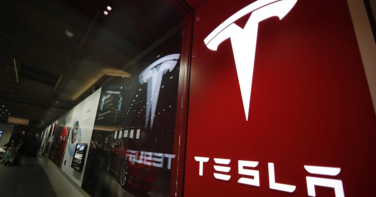 Tesla electric car sales fall for first time in more than a decade