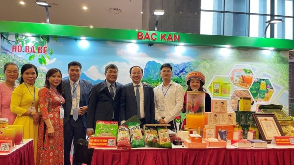 Bac Kan promotes cooperation with Saudi Arabian enterprises in many fields