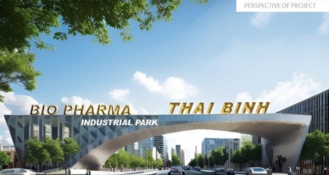 Consulting on Pharmaceutical Industrial Park Project