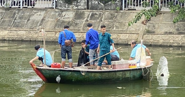 Đà Nẵng có đội tình nguyện là du học sinh tại Việt Nam