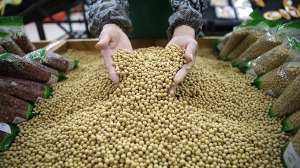 "Seeds of Peace" sow the seeds of US-China agricultural diplomacy