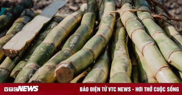 The problem of supply and demand of Vietnam's sugar industry