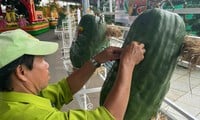 Cientos de frutas únicas en el festival