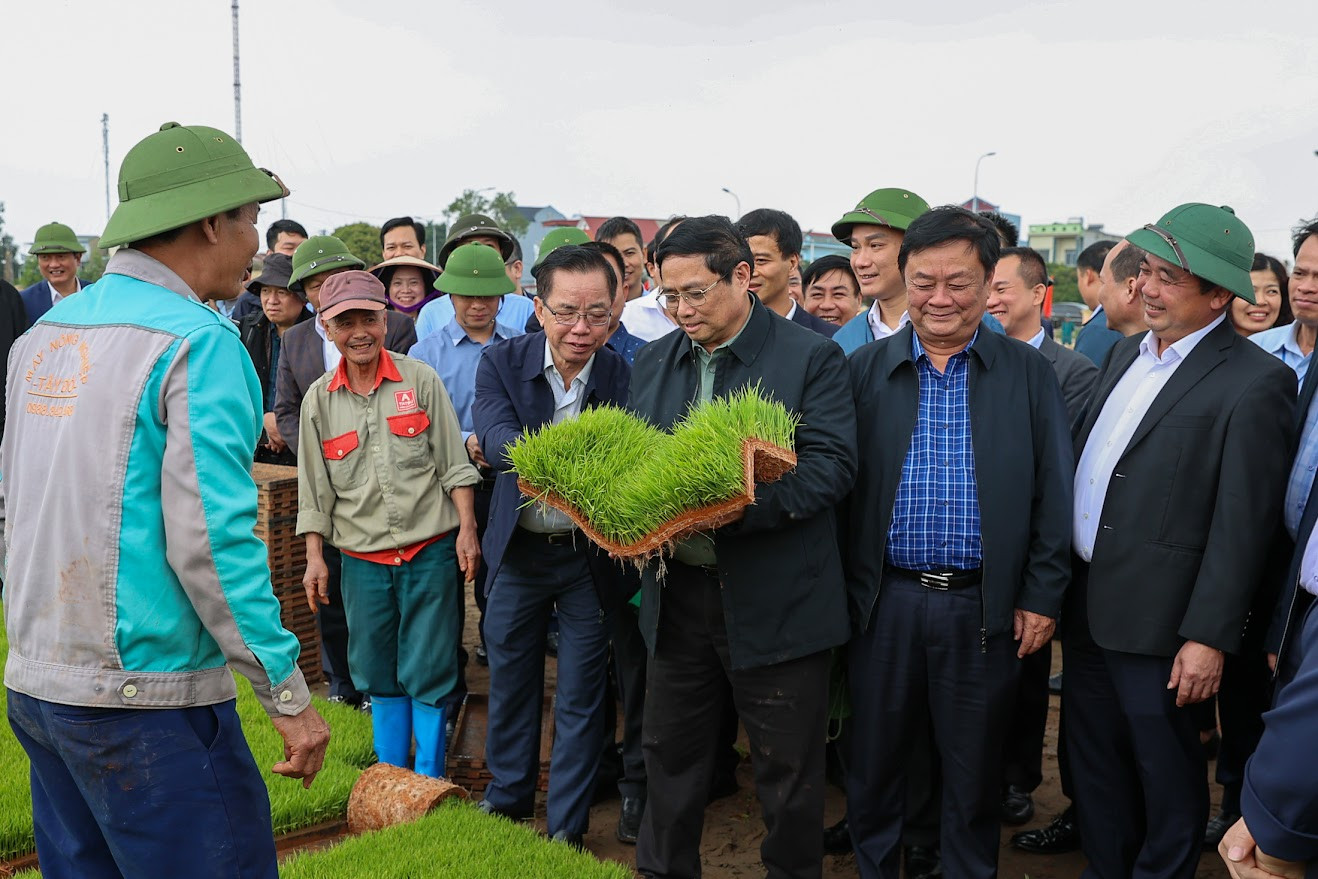 Thủ tướng xuống đồng cấy lúa, thu hoạch cà rốt cùng nông dân- Ảnh 1.