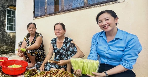 The wild grass grows wild in the fields of Ca Mau. People grow it as a specialty vegetable and the rich crave it.