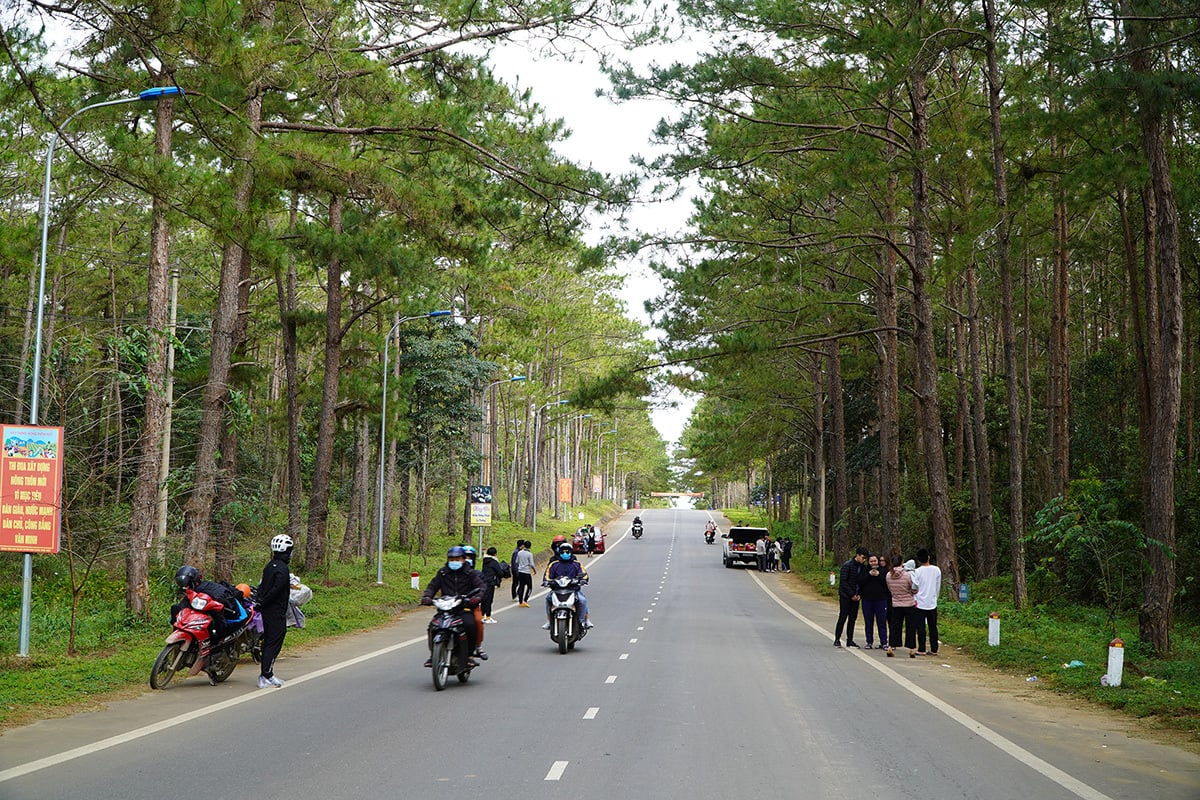 Thu hẹp quy hoạch khu du lịch Măng Đen