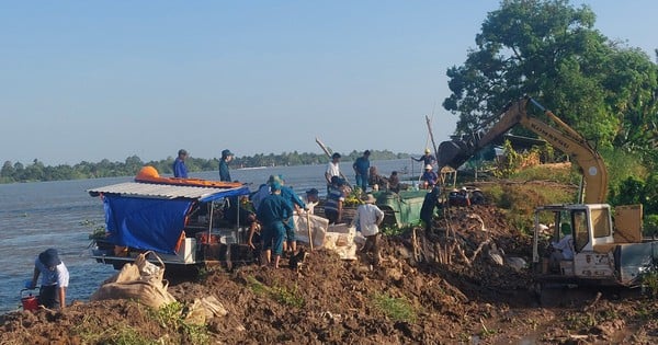 Renforcement de la section de digue érodée de la rivière Co Chien pour protéger les habitants de l'îlot Thanh Long