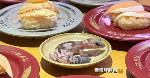 Niña causa polémica al colocar un lagarto mascota en un plato de restaurante