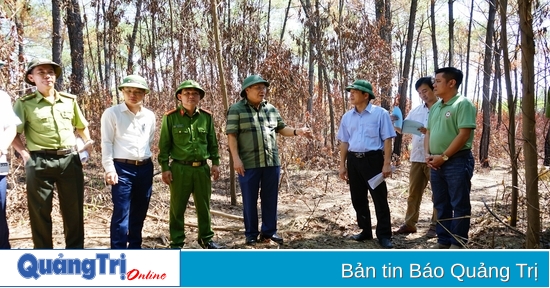 El vicepresidente permanente del Comité Popular Provincial, Ha Sy Dong, inspeccionó los trabajos de prevención y extinción de incendios forestales en el distrito de Vinh Linh.