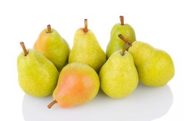 Argentina's pear and apple exports recover slightly in 9 months