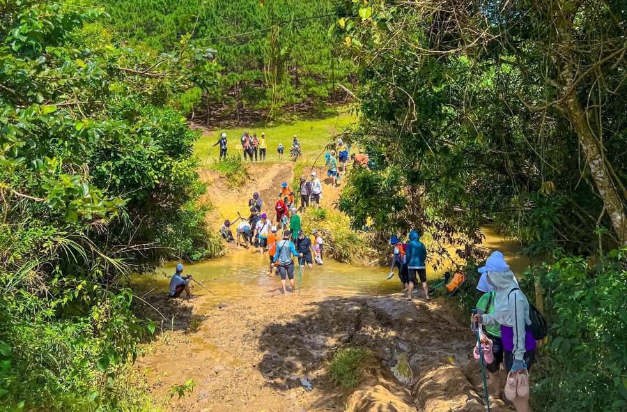 Crossing streams in the middle of the forest. Photo: Duy Tuan