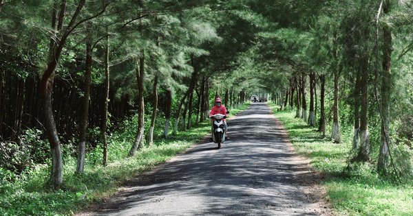 Phu Tan district determined to maintain the title of commune meeting New Rural standards