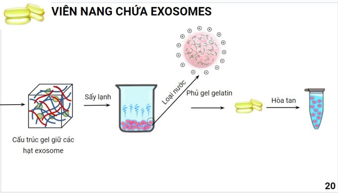 Part of the team's process of making exosome-containing capsules. Photo: NVCC