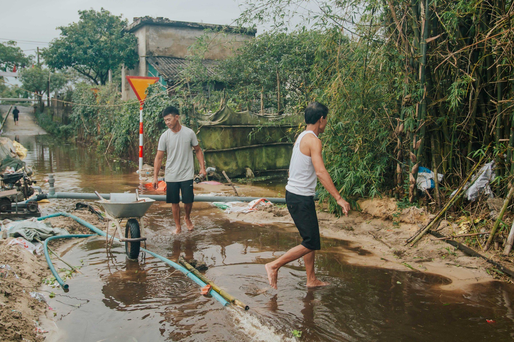 Lũ về, người dân Quảng Bình mất trắng vụ hoa tết - Ảnh 4.