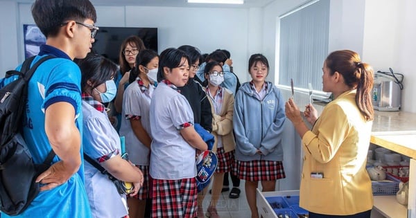 Las universidades cambiarán la orientación y el asesoramiento profesional