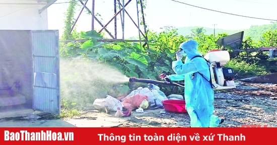 Tăng cường phòng, chống các bệnh do muỗi truyền vì hiện tượng El Nino