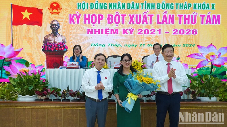 Kịp thời đề xuất chính sách đặc thù để phát triển kinh tế-xã hội ảnh 1