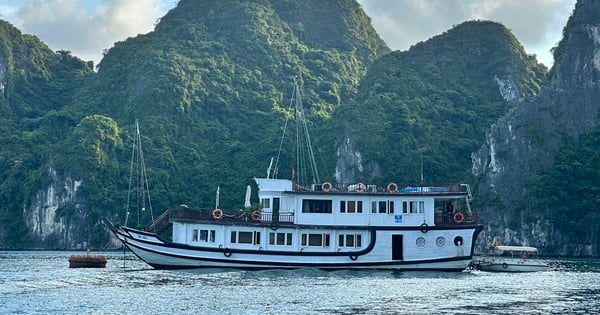 Warum ist es schwierig, Boote mit Holzrumpf in der Ha Long Bucht in Stahlboote umzurüsten?