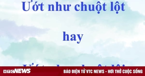 99% người nói sai câu thành ngữ quen thuộc này