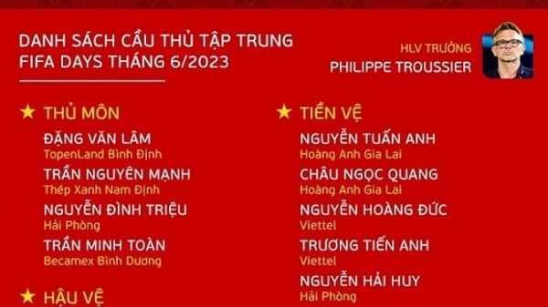 Đội tuyển Việt Nam hội quân, HLV Philippe Troussier triệu tập 33 cầu thủ